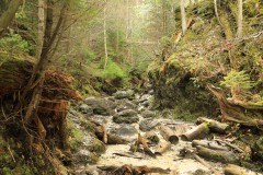 020-Szlovak-Paradicsom-Kolostor-szurdok