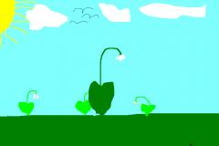10